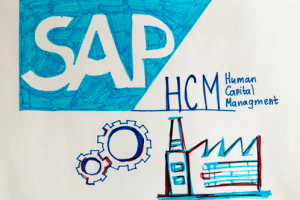 SAP HCM (Human Capital Management): Обзор и функционал